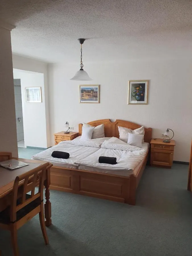 Hotel Hochrain-Altlam 0*, Lam Allemagne